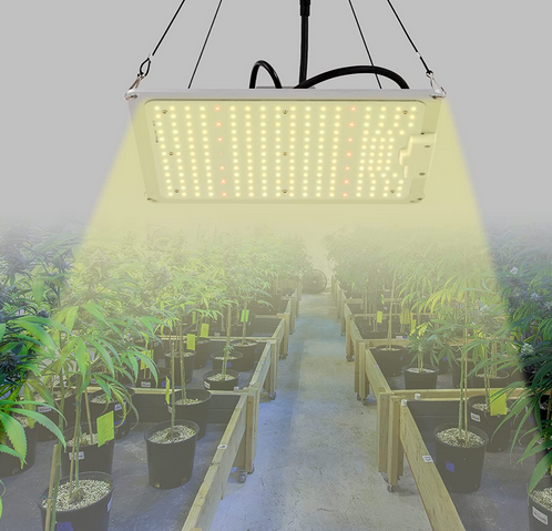 Vollspektrum LED Pflanzenlampe, 220W Grow Lampe Plant Wachsen Licht mit LM301B & Dimmbarem Treiber