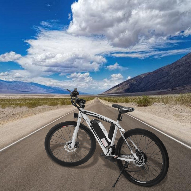 E-Bike 26" E-Mountainbike mit Abnehmbarer 250W Motor 25km/h und 21-Gang Elektrofahrrad Ausdauer