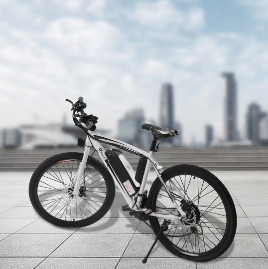 E-Bike 26" E-Mountainbike mit Abnehmbarer 250W Motor 25km/h und 21-Gang Elektrofahrrad Ausdauer