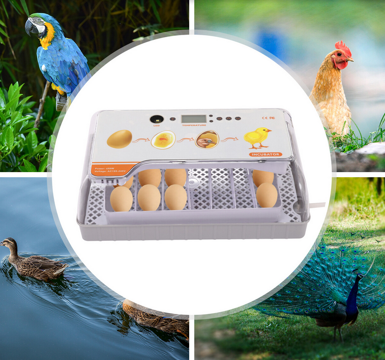 Automatische Inkubator-Temperatur-Feuchtigkeits-Inkubator-Steuerung Hatching-Maschine mit LED-Eierlichtern