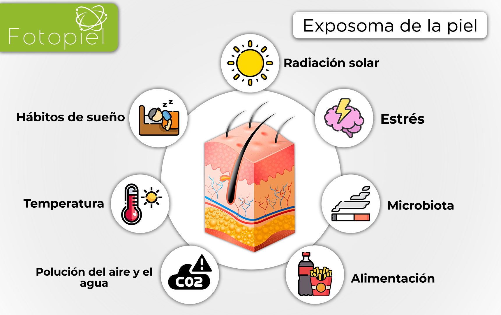 Algunos de los elementos agresores de la piel se centran en el medio ambiente “exposoma”: la radiación ultravioleta, la contaminación del aire y los pesticidas pueden ser absorbidos por la piel.