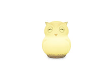 Load image into Gallery viewer, Duski Rechargeable Bluetooth Night Light - Owl
