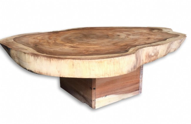 Suar wood shop coffee table