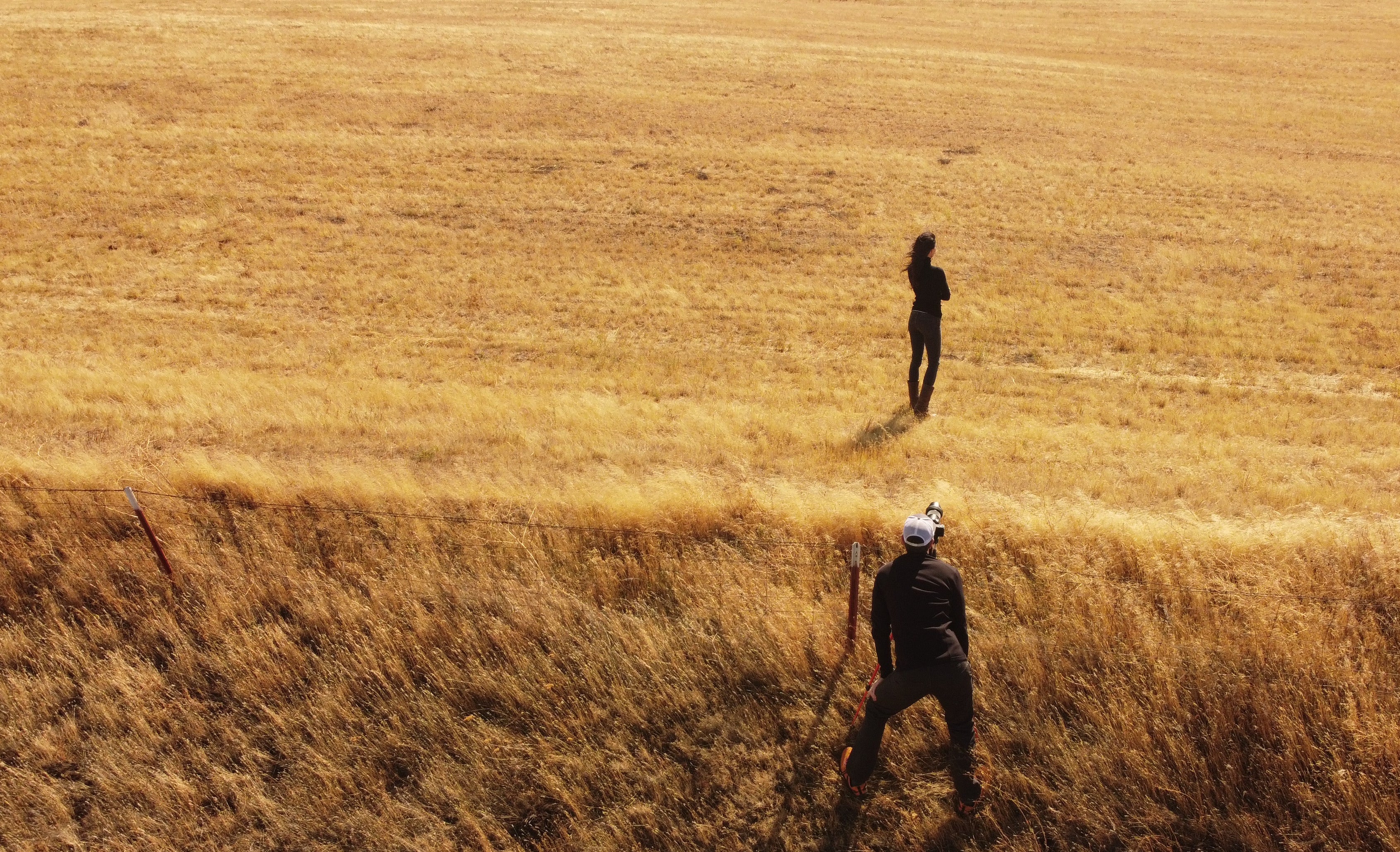 photoshoot in a wheat field