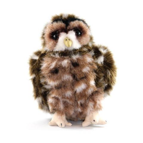 Spotted Owl adoption Kit