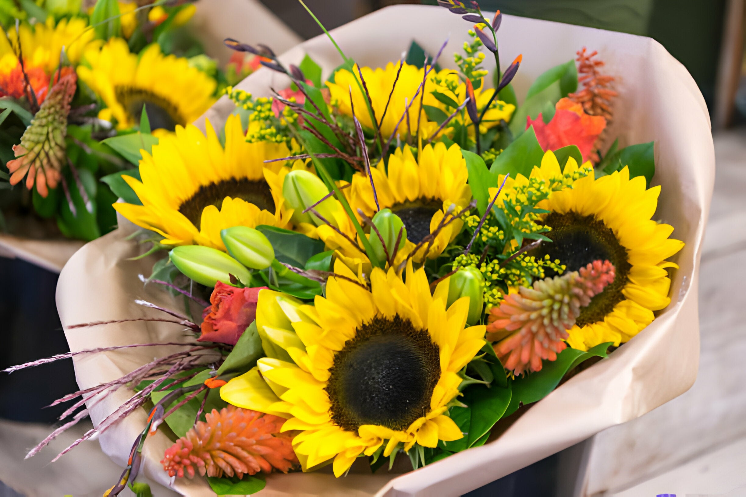 Sunflower Beauty Dubai National Flower event