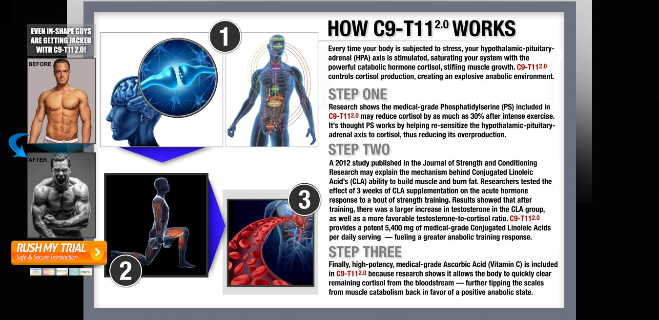 C9-T11 Research