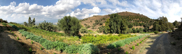 Botano Farm - One of the first biodynamic herb farms in Greece
