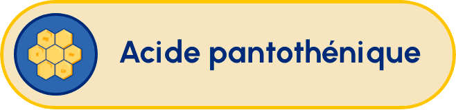 acide pantothenique