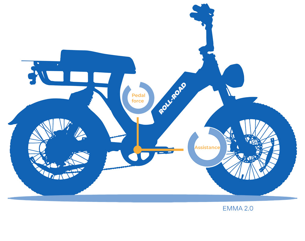 Emma-1000W-moped-style-ebike.jpg__PID:a2d47192-1e96-43a2-808d-02aee3a11767