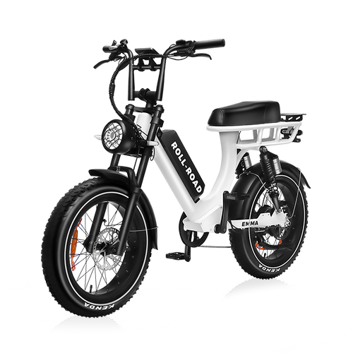 roll-road.com-emma-fat-tire-full-suspension-all-terrain-moped-electric-cargo-bike.png__PID:e65b7258-7fc1-4202-851e-82b2264831d8