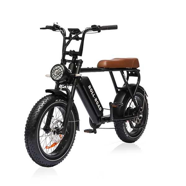 roll-road.com-shark-long-saddle-fat-tire-all-terrain-electric-mountain-bike-long-range.png__PID:8c489658-af39-4698-a994-b02bada258b7