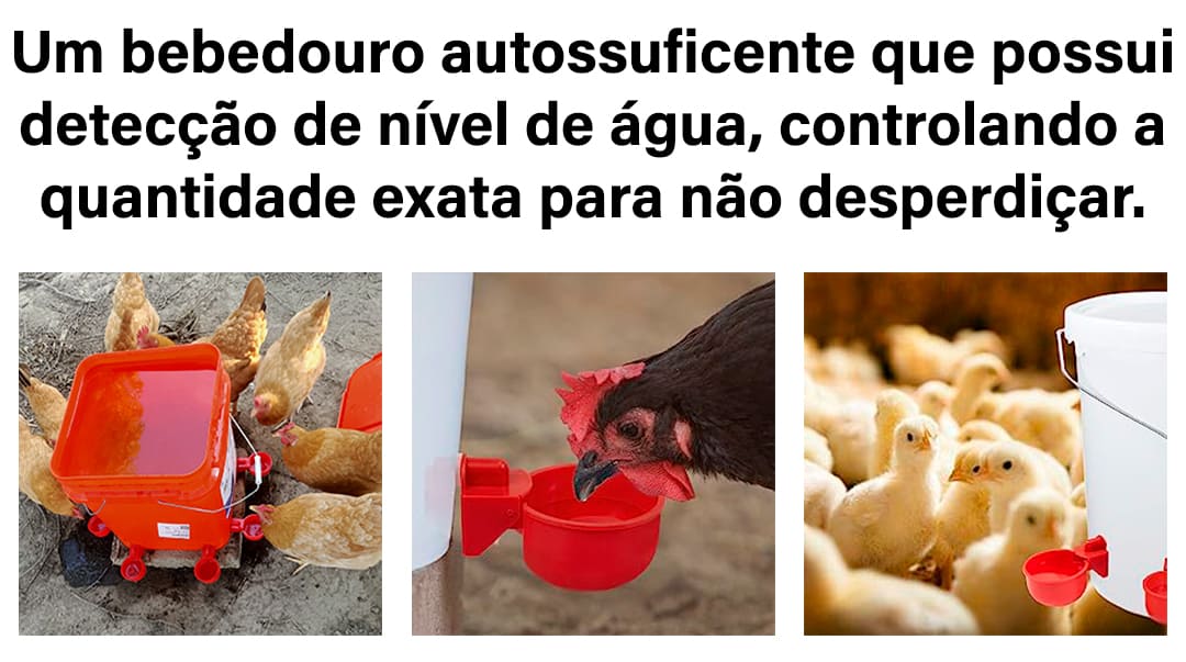 bebedouro automático de água para galinhas