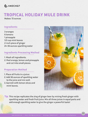 Tropical Holiday Mule Drink
