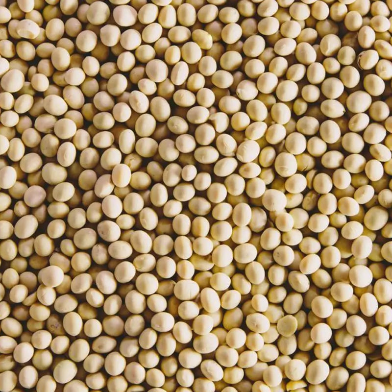How to Pick Good Soybeans