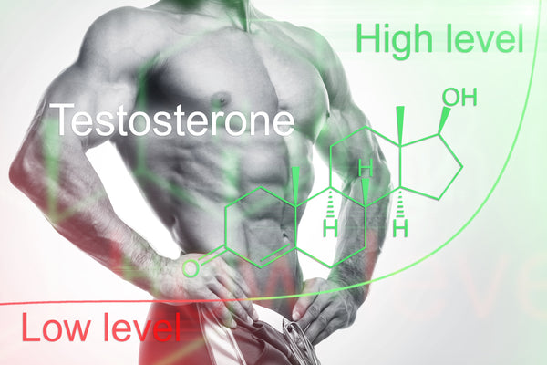 Hi/low testosterone chart