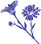Calendula Flower Extract