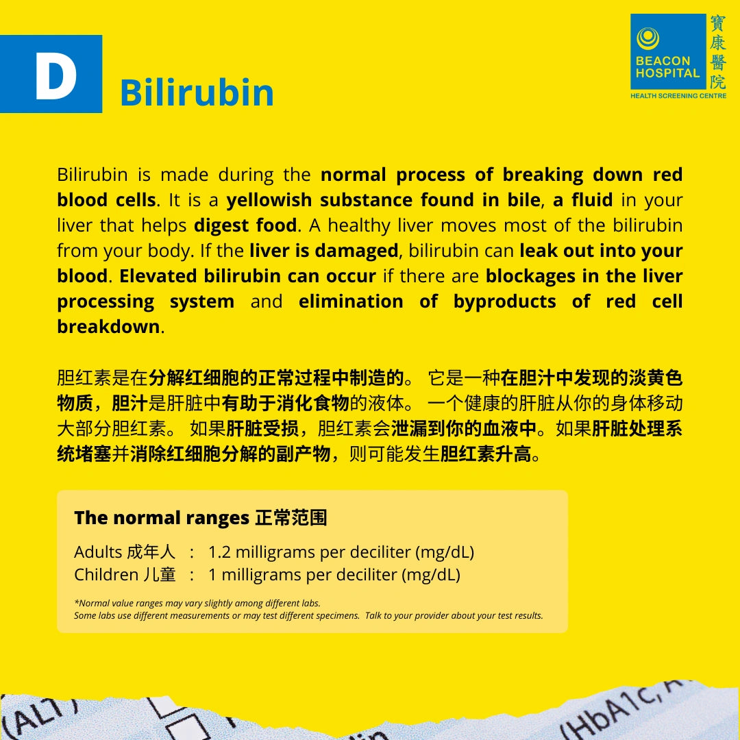 Liver Function Test