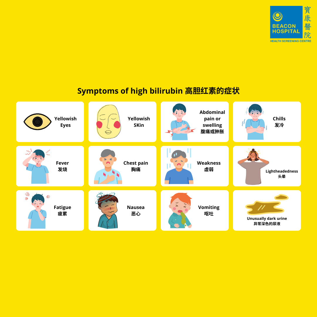 Liver Function Test