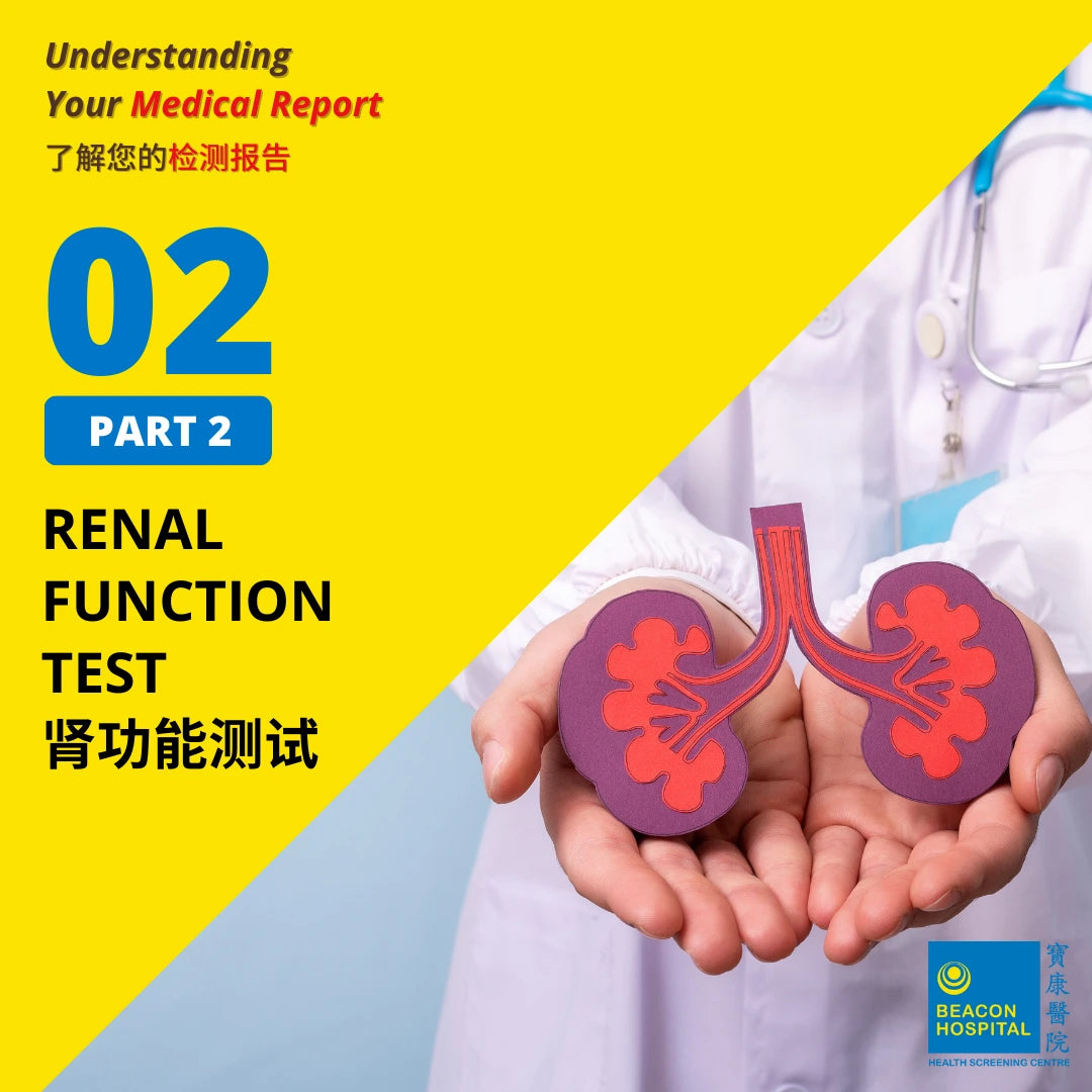 Renal Function Test
