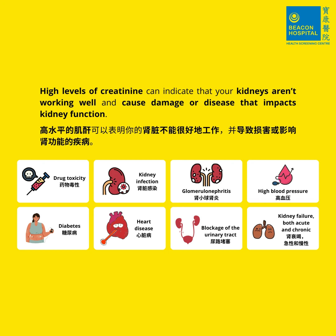 Renal Function Test