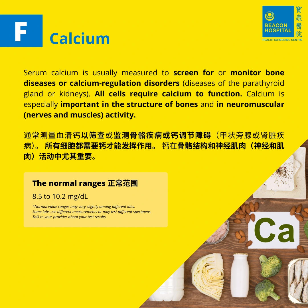 Renal Function Test