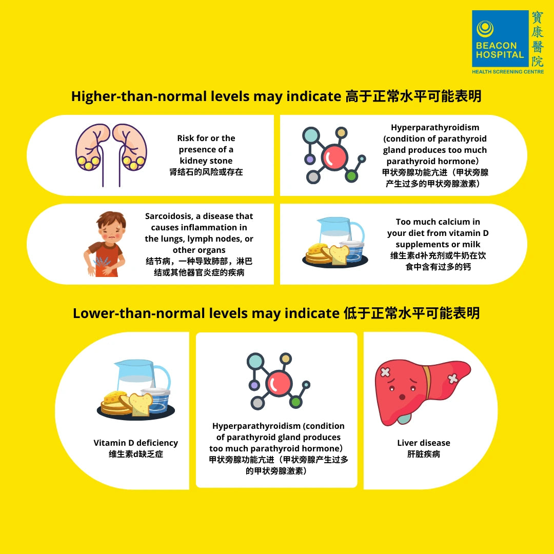 Renal Function Test