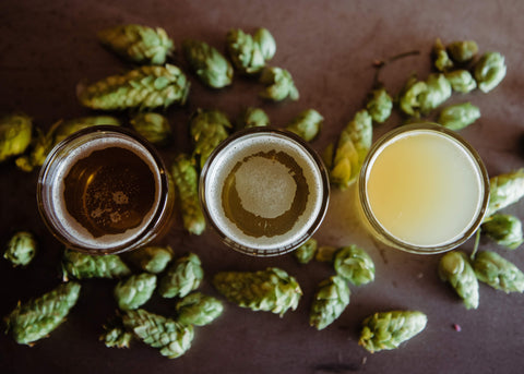 three glasses of beer viewed from above surrounded by hops