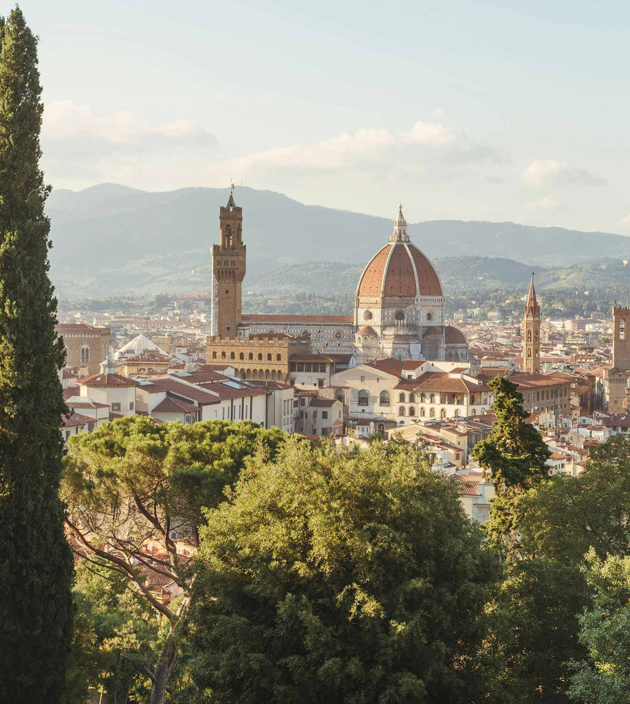 A photo of the centre of the city of Florence from a higher viewpoint, with green mountains in the back.