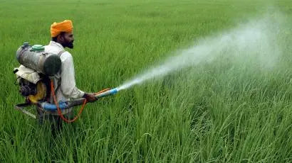 Farmer spraying crops