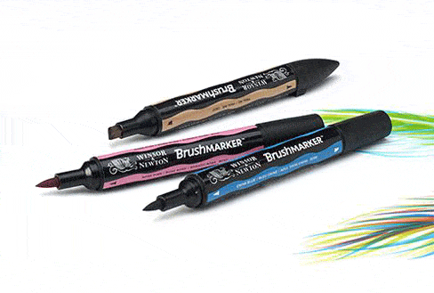 Winsor Newton Promarker Brushmarker & Prismacolor Premier Chisel Brush Fine  Tip