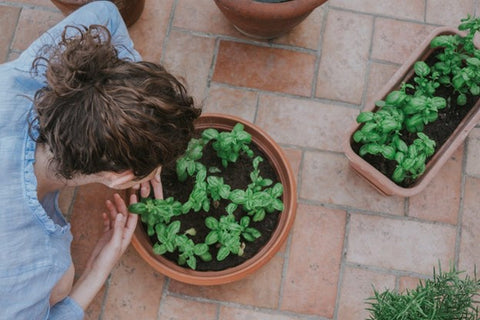 image of woman with brown hair from above bending over a large flower pot with green plants in it.
