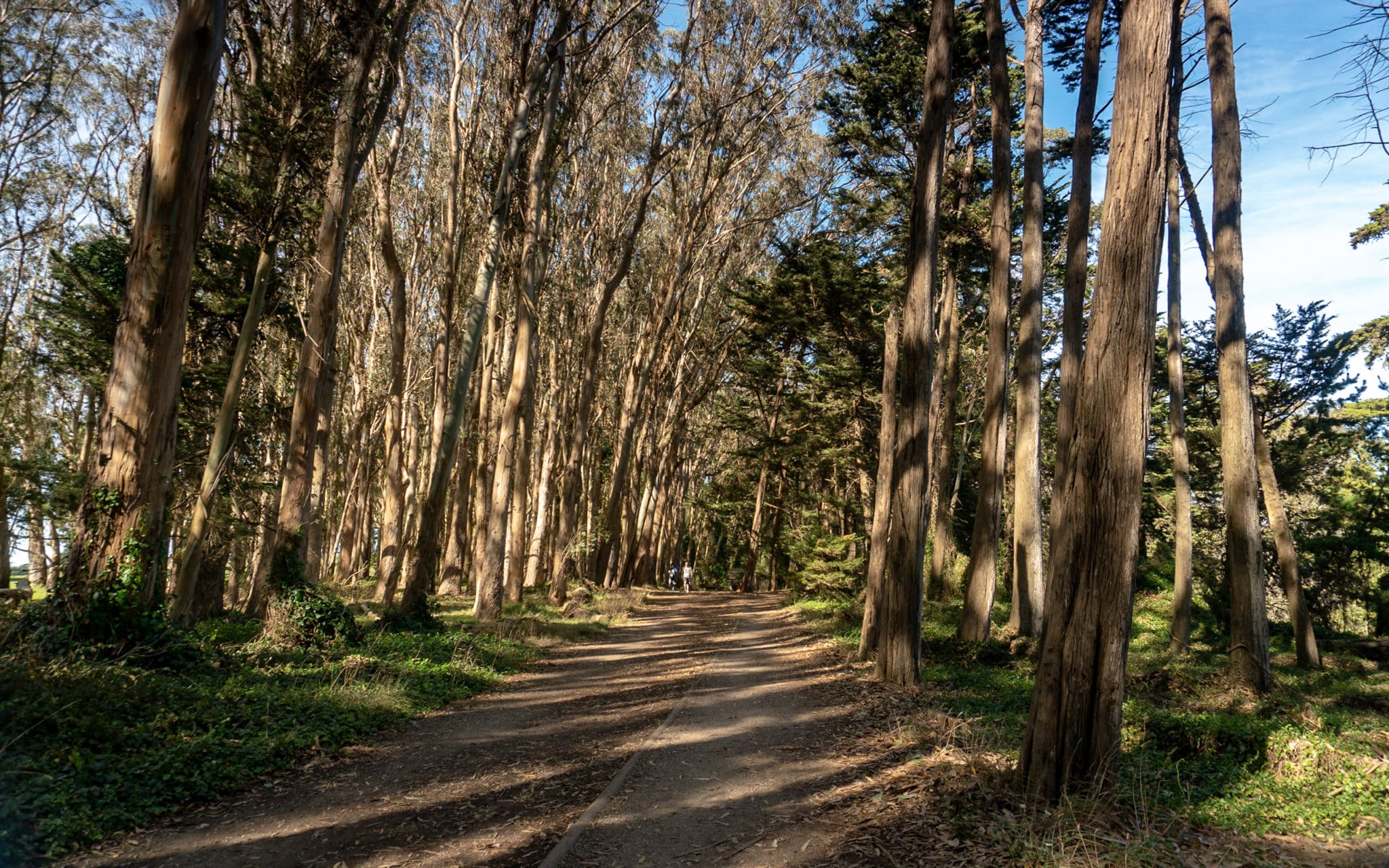 Presidio Loop Bike Trail