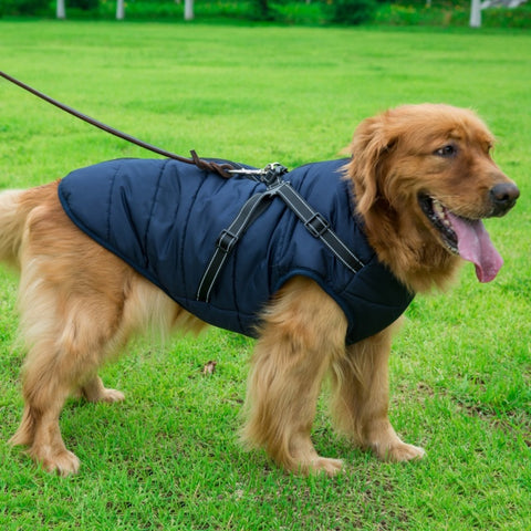 Dog harness jacket