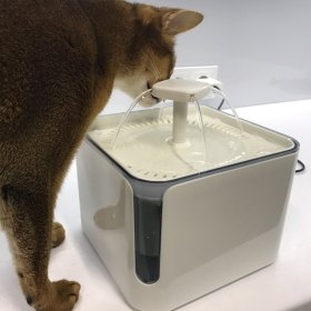 Cat automatic drinking water fountain