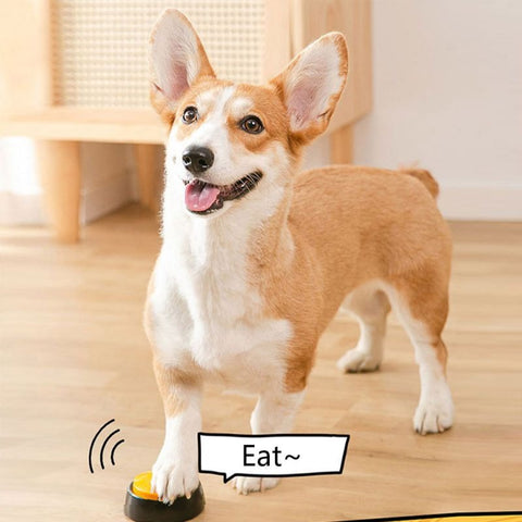 Dog Talking Buzzer Button