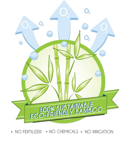 sustainable eco friendly bamboo