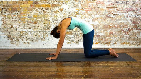 Best Yoga Poses to Start Active and Healthy Lifestyle - Green