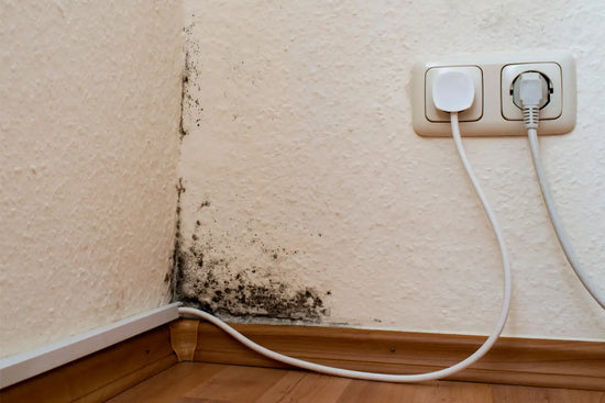 Mold and Emf's
