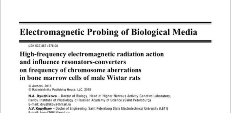 High Frequency Electromagnetic