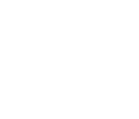 White heartbeat line inside a heart icon.