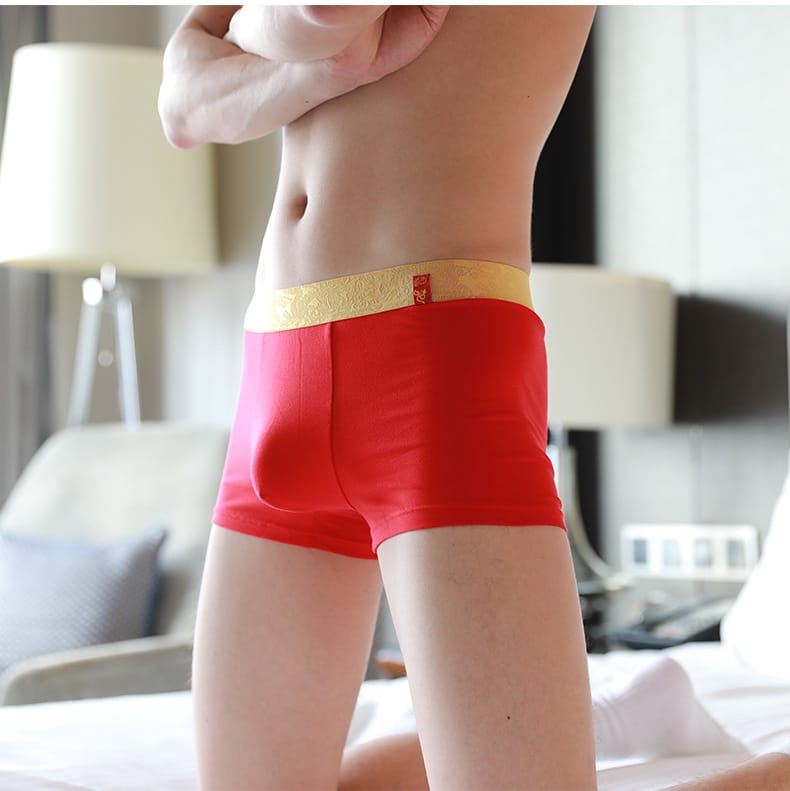 Lovemi - Dragon print boxer shorts