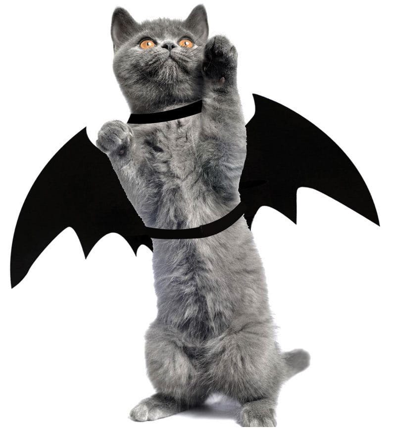 Lovemi - Halloween Costume Pet Bat Wing Pet Cosplay Prop