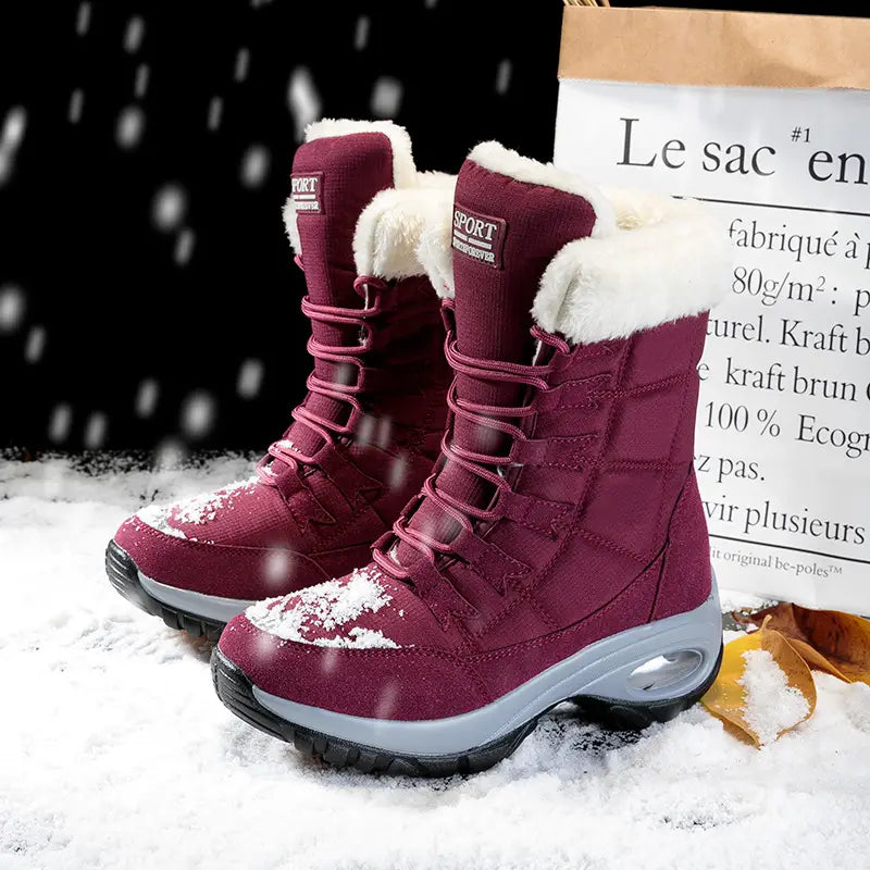 Snow Boots Women Winter Plus Velvet Warm Cotton Shoes