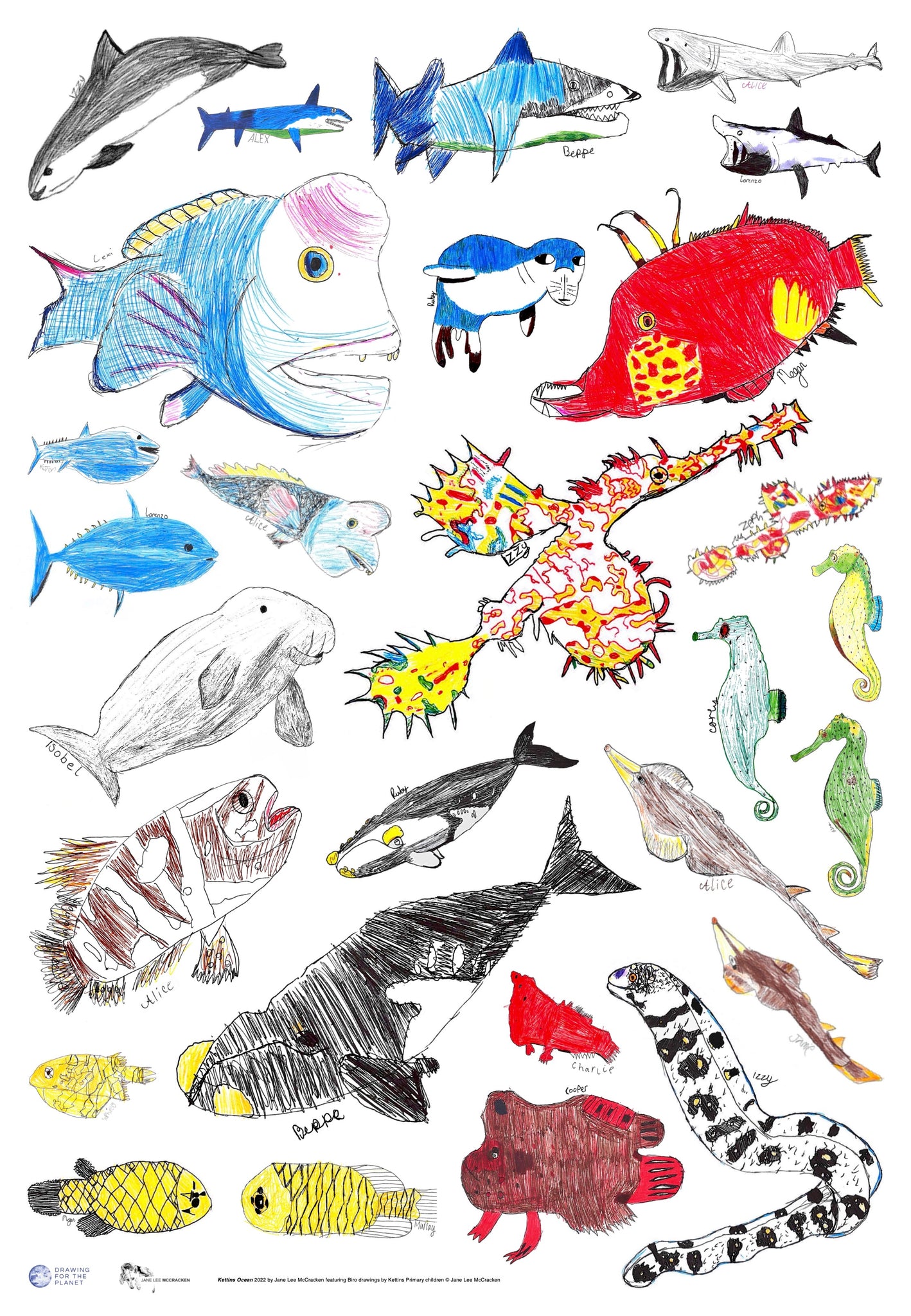 How to Draw Ocean Wonders: Learn to Draw 70 Sea Animals, Seabirds, and Plants for Kids with Step-by-Step Instructions