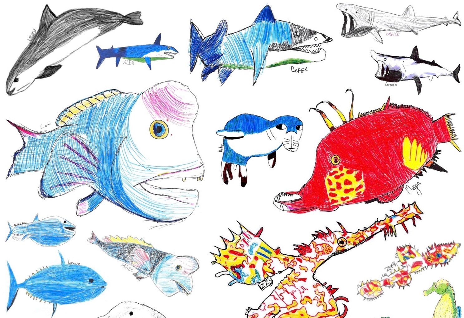 Learn to Draw: Ocean Wonders!