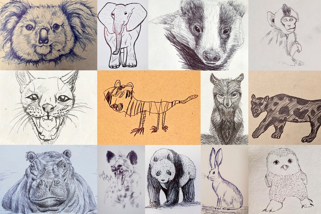animal faces drawing
