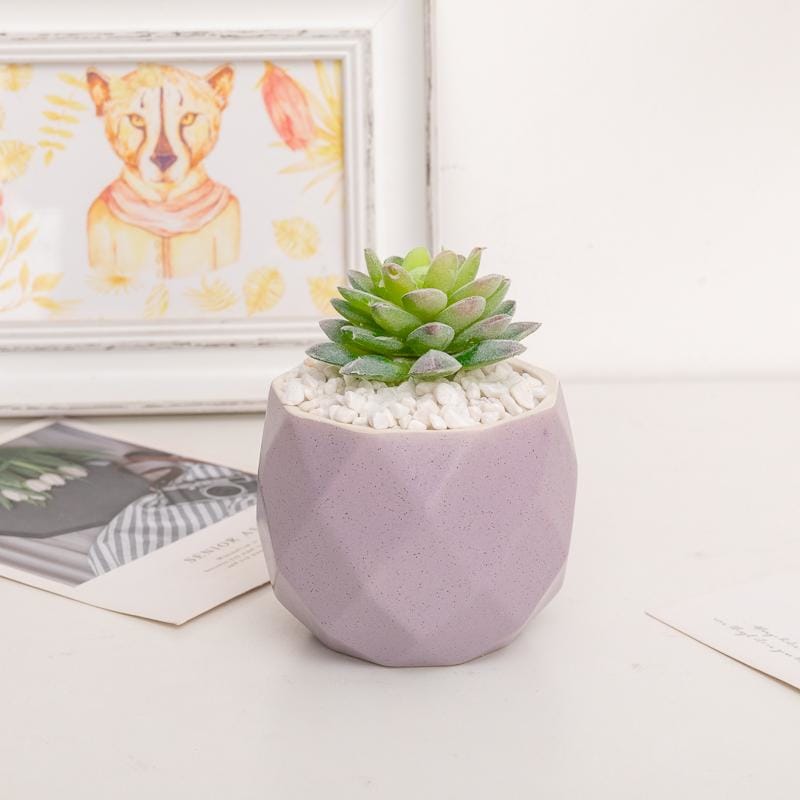 Mini Cactus + Handmade Ceramic Pink + White Mini Planter