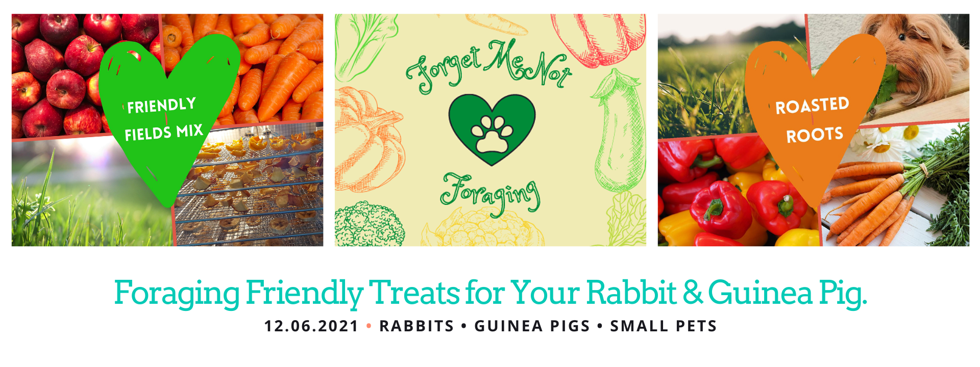 Foraging Friendly Treats for Small Pets