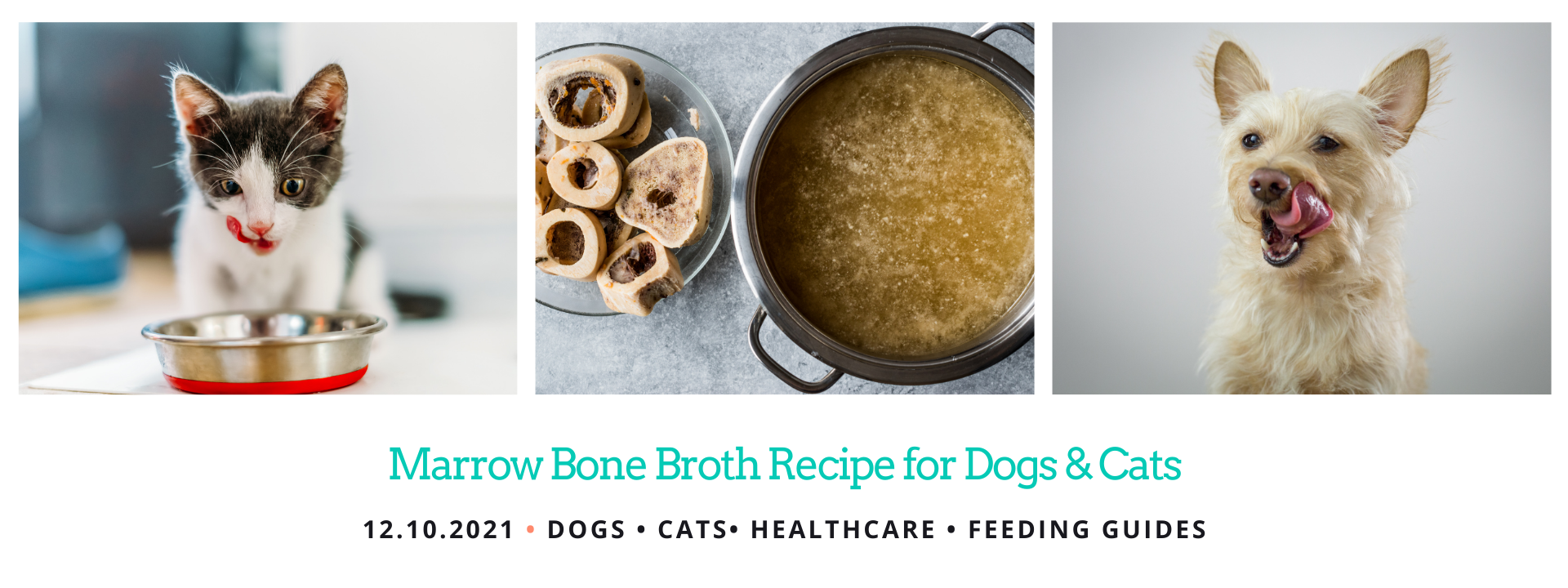 Marrow Bone Broth Recipe for Dogs & Cats